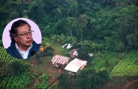 Presidente Gustavo Petro / Imagen referencial de cultivos ilícitos.