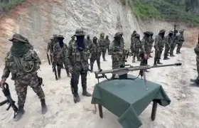 Las Autodefensas Conquistadores de la Sierra Nevada (ASCN). 