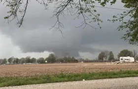 Imagen de referencia