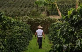 Imagen de referencia.