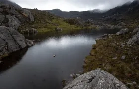 Páramo de Santurbán.