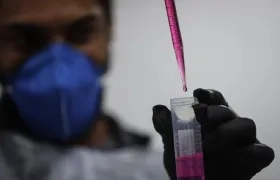 Imagen de referencia.