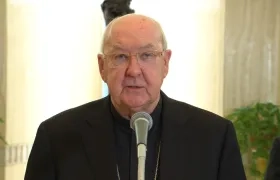 Cardenal Kevin Joseph Farrell. 