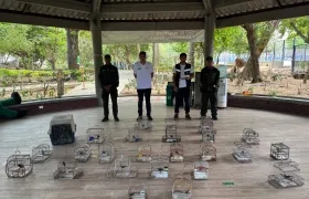 Animales incautados por las autoridades. 