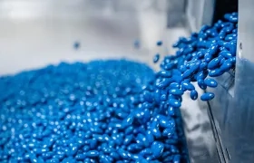 Imagen de referencia.