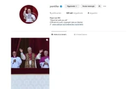 Así aparece el Papa León XIV en Instagram. 