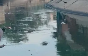 Lugar donde fue hallado el cuerpo.