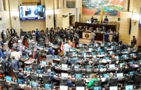 Plenaria de la Cámara de Representantes. 