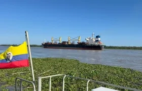 Imagen de referencia.