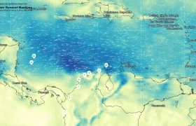 Fuertes vientos azotarán a la ciudad en las próximas 48 horas.