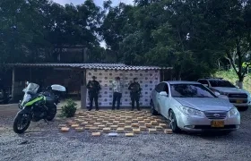 Marihuana incautada. 