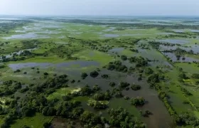 Imagen de La Mojana.