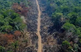 Aspecto de la Amazonía.