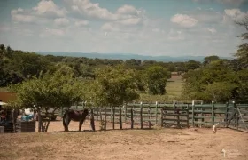 Regional Cesar corrobora cuales funcionarios habrían realizado las conductas denunciadas.