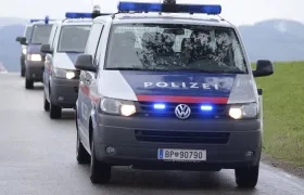 Imagen de referencia.