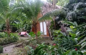 Ecohabs Bamboo Tayrona.