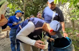 Funcionarios del Distrito realizan jornadas de búsqueda activa en La Playa. 