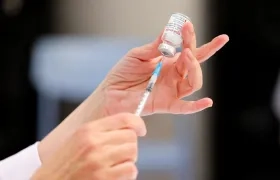 Imagen de referencia.