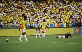 El lamento de los jugadores colombianos.