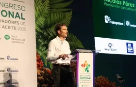 Nicolás Pérez Marulanda, presidente Ejecutivo de Fedepalma.
