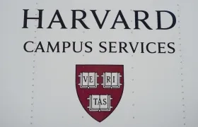 Imagen de referencia.