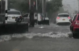 Imagen de referencia.