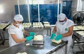 La mayoría de las mipymes que han recibido apoyo del Ministerio, a través de Colombia Productiva, pertenecen al sector servicios (58,9 %).
