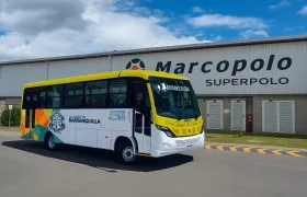 Los nuevos buses que llegarán a la ciudad cuentan con tecnología Euro 6.