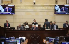 La nueva ley entrará en vigor seis meses después de su publicación oficial.