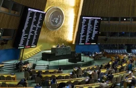 Asamblea General de las Naciones Unidas.