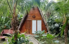 Actualmente el eco hotel no está en funcionamiento. 