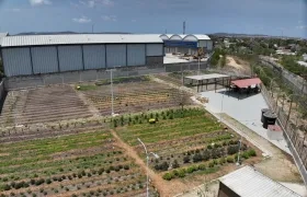 Huerta comunitaria del barrio La Paz.