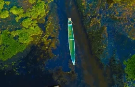 Así se ve la ciénaga en Nueva Venecia