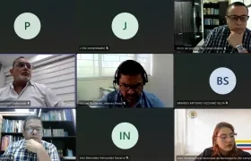 Aspecto de la audiencia virtual de este jueves. 