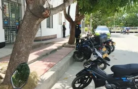 Banco Agrario de Santo Tomás.