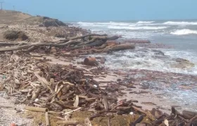 La investigación se llevó a cabo en siete playas remotas del Caribe colombiano. 
