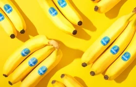 Chiquita Brands.