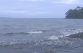 Imagen de referencia.