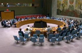 Consejo de Seguridad de la ONU.