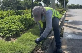 Intervención en corredor portuario.