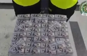 El alijo de billetes eran de 100 dólares.