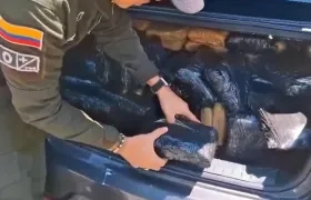 Marihuana incautada. 