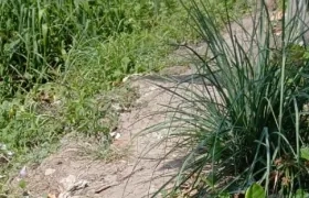 Lugar donde fue asesinado el adolescente. 