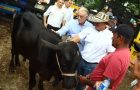 Esta iniciativa beneficiará a 70 pequeños ganaderos del departamento.