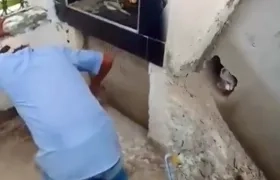 El incidente ha desatado una alerta sobre la posible realización de rituales de santería con animales.