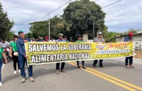 Bloqueo de vías por parte de los arroceros.