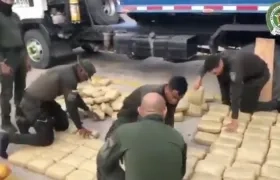 Marihuana incautada por la Policía y el Ejército. 