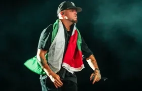 El artista con una bandera Palestina durante un concierto. 