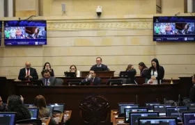 Plenaria del Senado.