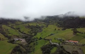 Imagen de referencia.